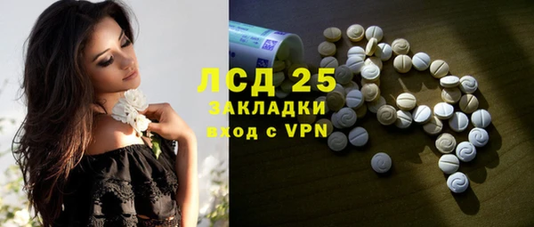 твердый Арсеньев