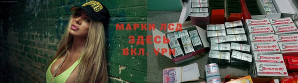 СК Аркадак