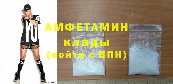 твердый Арсеньев