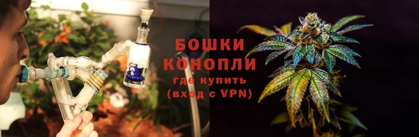 твердый Арсеньев