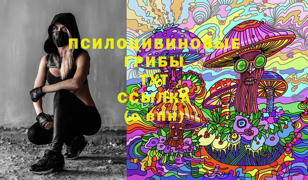 твердый Арсеньев