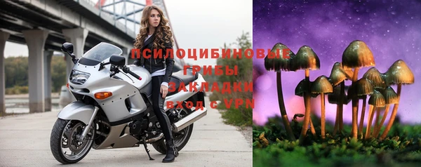твердый Арсеньев