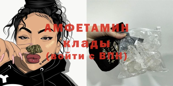 твердый Арсеньев