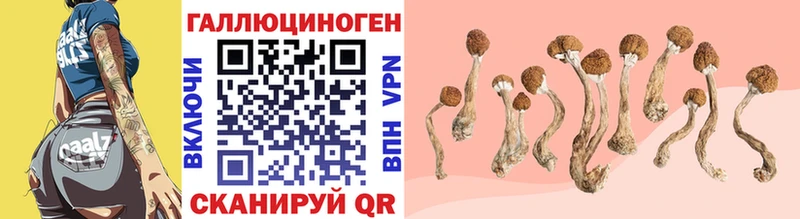ссылка на мегу ссылки  Новая Ляля  мориарти какой сайт  Псилоцибиновые грибы мицелий 